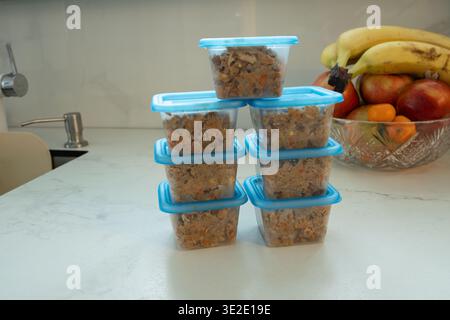 Stack of blue plastic containers filled with homemade pet food on kitchen counter. Preparing nutritious meals for dogs from fresh ingredients. Healthy animal feeding and pet care concept. photography Stock Photo