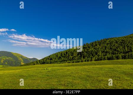Vast green meadow stretches towards forest-covered hills under blue sky. Fluffy clouds drift lazily, creating a peaceful, idyllic summer scene. Stock Photo