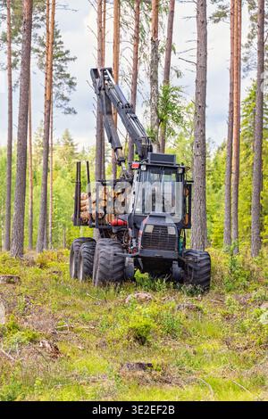Forwarder with logs and a crane in a woodland Stock Photo