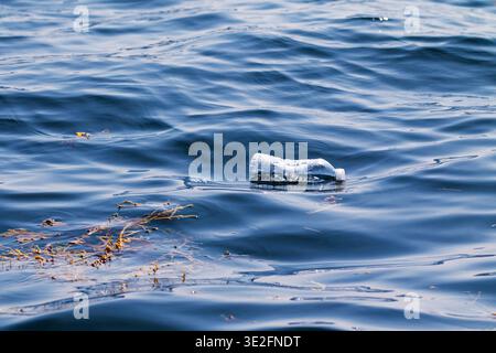 Empty plastic drinks bottle floating on surface of the sea, it may be ingested by cetaceans or large fish, Bay of Fundy, Canadas east coast Stock Photo