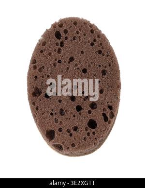 Brown oval exfoliating sponge with porous texture on transparent background Stock Photo