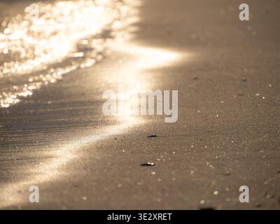 Golden sunlight reflecting on gentle waves and wet sand along a calm shoreline creating a warm shimmering coastal scene with soft focus Stock Photo