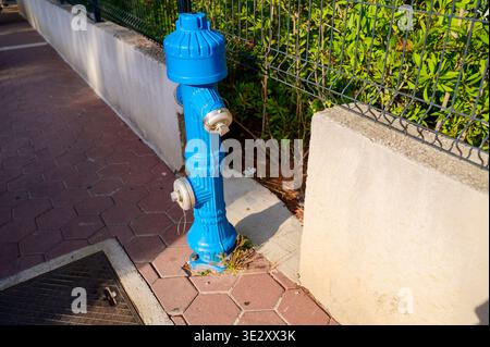 Blue metal fire hydrant standing on a paved sidewalk near a green hedge. Concept of urban safety infrastructure, public utility service, and industria Stock Photo