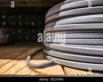 A thick, gray electrical cable is coiled neatly on a wooden surface, with a section of the cable showing its internal wires in red, yellow, blue, and Stock Photo