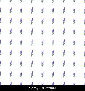 Seamless pattern of spring lavender flowers on a white background Stock Vector