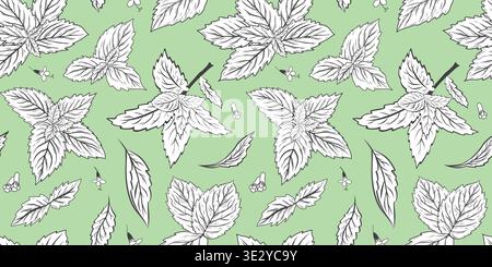 Vector seamless pattern with detailed herbal leaves inspired by mint, sage or nettle on a light green background. Suitable for packaging, fabric and natural design. Stock Vector