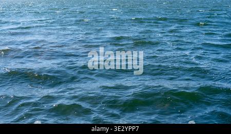 Blue lake water with gentle waves and ripples, natural abstract background texture with copy space, outdoor nature scene Stock Photo
