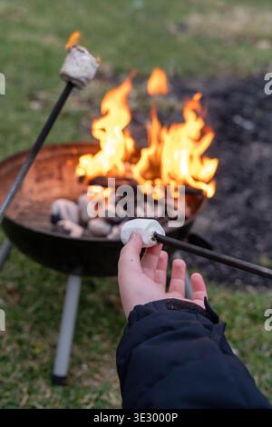 Vertical image of hands roasting marshmallows over campfire in fire pit, cozy outdoor camping activity with flames and warm atmosphere Stock Photo