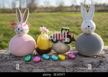 Two painted Easter bunnies and chocolate eggs, a red toy tractor model standing on a tree bark on a festive spring day. Easter greeting concept for fa Stock Photo