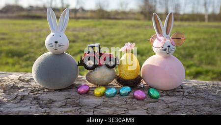 Two painted Easter bunnies and chocolate eggs, a red toy tractor model standing on a tree bark on a festive spring day. Easter greeting concept for fa Stock Photo