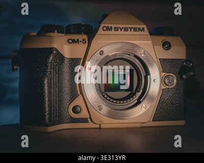 OM System OM5 Mark II mirrorless camera body close-up with exposed sensor showing iridescent colorful reflections on dark wooden surface Stock Photo