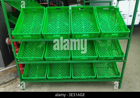 Green empty plastic boxes are on the shelves for various products and fruits in the shop window for sale. Stock Photo