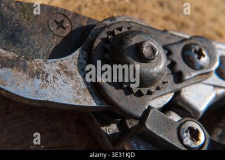 Mechanism of a hand pruner, a gardening tool. Stock Photo