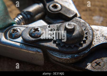 Mechanism of a hand pruner, a gardening tool. Stock Photo