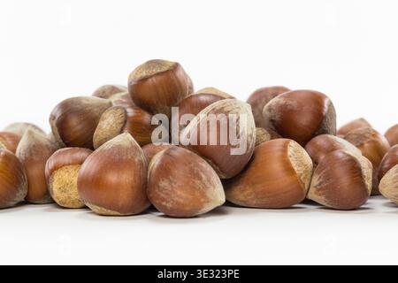 Heap of whole unshelled hazelnuts (filberts) isolated on clean white background, sharp foreground detail with natural shell texture. Stock Photo