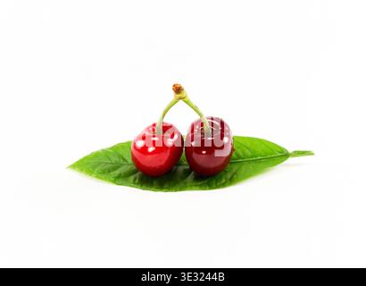 Two glossy red cherries with joined stems rest on a single green leaf against a clean white background. Stock Photo