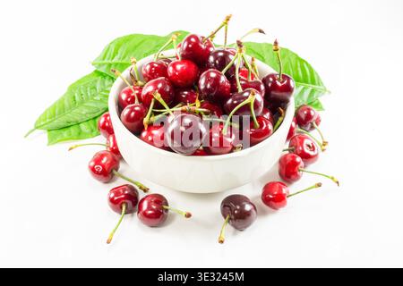 Ripe red and dark cherries piled in a white ceramic bowl surrounded by scattered cherries and green leaves on white background. Stock Photo