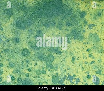 Close-up of a green textured surface featuring organic patterns and subtle tonal variation. Abstract background with natural appearance and soft, unev Stock Photo