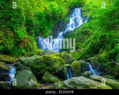 Torc Waterfall cascading through lush green forest in Killarney National Park Ireland. Stock Photo