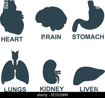 Simple vector illustration set of human internal organs for healthcare design Stock Vector
