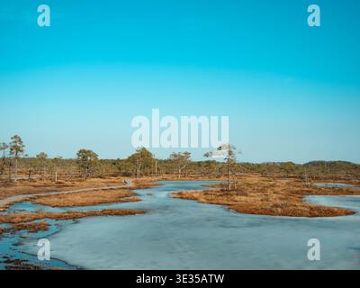 Vast Kakerdaja raised bog with frozen lake and bog pines under turquoise sky in spring Estonia Stock Photo