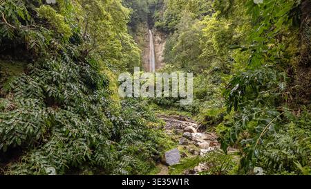 Hidden Waterfall in Sao Miguel Tropical Forest, Azores, Portugal Stock Photo