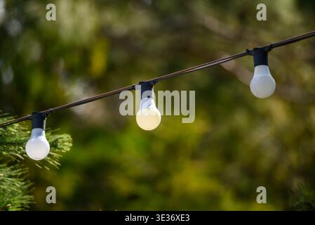 Outdoor string lights with three round bulbs on a wire, shallow depth of field, green bokeh background, daytime garden ambiance. Stock Photo