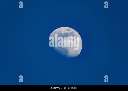 The moon photographed during the day against a blue sky with a partial crescent Stock Photo