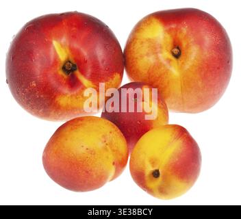 Several ripe nectarines isolated on white background Stock Photo