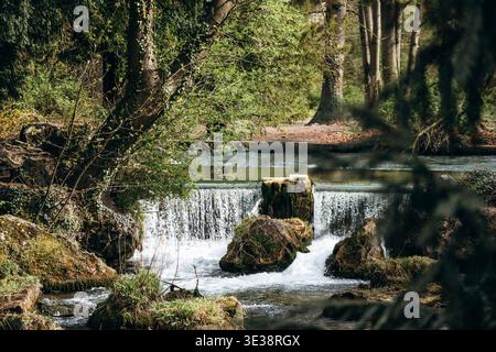 Small waterfall on the Eisbach stream in the Englischer Garten with rocks, flowing water and surrounding forest vegetation Stock Photo