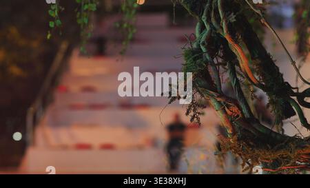 Growing roots and moss creating abstract pattern with blurred background figures Stock Photo