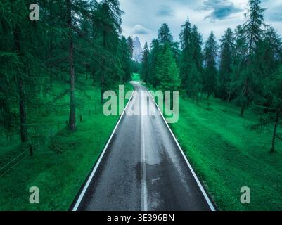 Aerial view of a winding asphalt road cutting through lush green ...