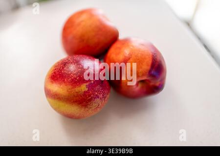 Macro closeup of three ripe red and yellow nectarines fruit with detail and shiny texture skin studio shot Stock Photo