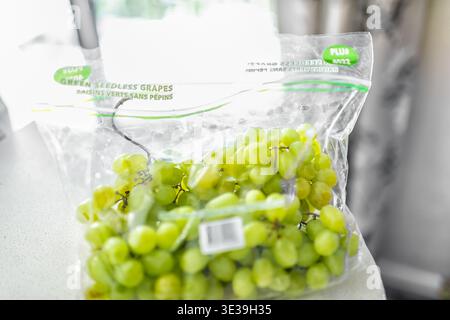 Roseland, USA - February 13, 2025: Green seedless table grape hybrid grapes fresh fruit berry in plastic bag macro closeup with plu number Stock Photo