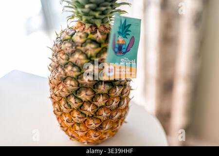 Roseland, USA - March 14, 2025: Pineapple tropical gold Dole brand Stitch Disney label for one ripe raw unpeeled fruit studio shot Stock Photo