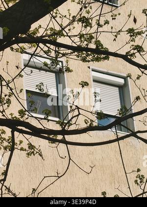 An architectural detail shot of two windows on a beige stucco apartment building in Budapest, Hungary. The windows feature grey external roller shutte Stock Photo