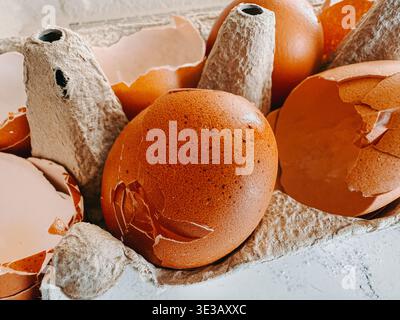 Detailed close-up of broken brown eggshells in a cardboard carton. Textured, natural food still life highlighting cooking process, waste, fragility an Stock Photo
