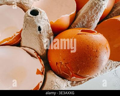 Close-up of a cracked brown egg surrounded by broken eggshells in a paper carton. Rich texture and warm tones highlight cooking, food preparation, was Stock Photo