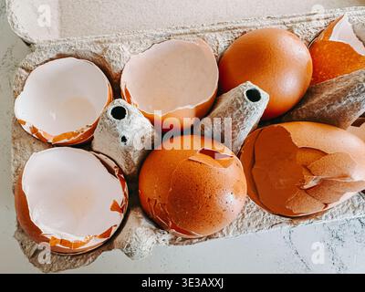 Top view of broken brown eggshells in a cardboard carton, capturing kitchen preparation and organic waste. Ideal for themes of sustainability, compost Stock Photo