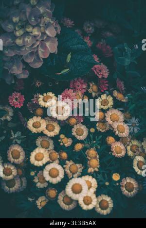 A close-up vertically oriented photograph featuring a dense floral arrangement set against a dark, velvety green background. The central focus is on a Stock Photo