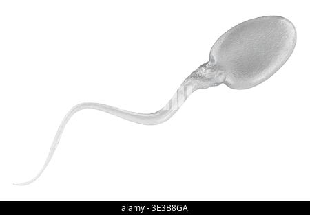 Male symbol with sperm cell, male fertility and reproductive health ...