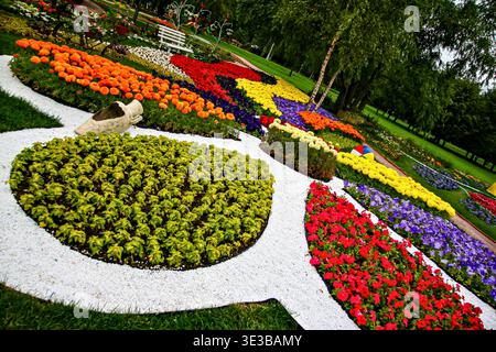 Bright geometric flower arrangements divided by white gravel paths create a striking visual composition in a well-maintained park. Stock Photo