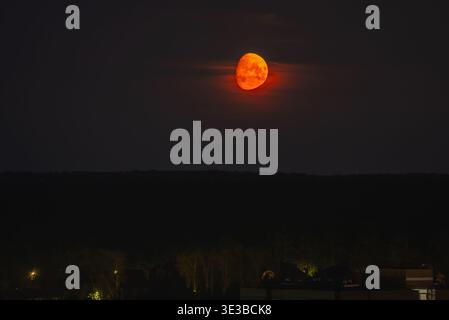 Giant orange moon illuminates the dark night sky, rising above the silhouetted tree line and rooftops, creating a mystical and atmospheric celestial scene Stock Photo