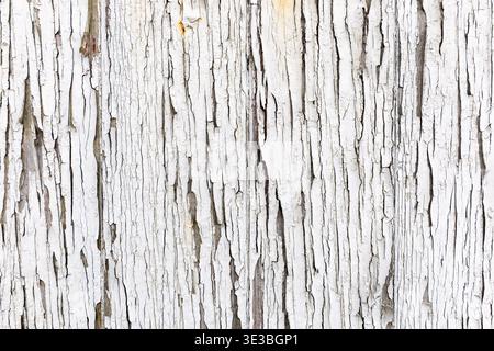 Wooden wall with weathered white paint background Stock Photo