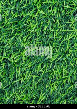 Textured surface of artificial grass Stock Photo