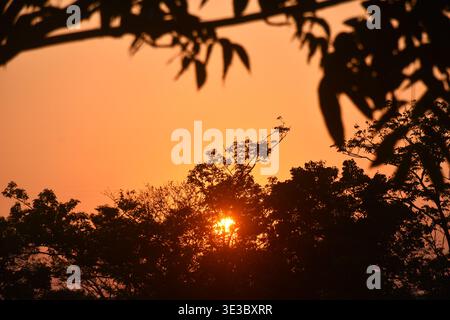 landscape of sun falling behind tree in sunset with orange twilight sky Stock Photo