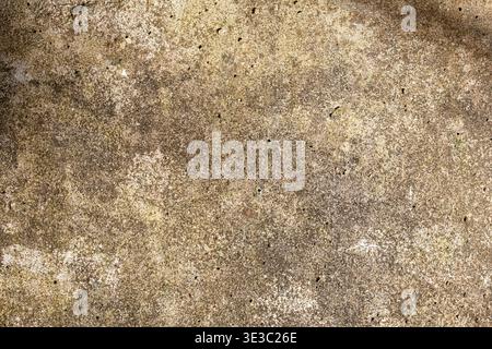 Close-up of a weathered concrete wall showing subtle stains, rough texture, and natural surface variation. Ideal for backgrounds, minimalist design, a Stock Photo