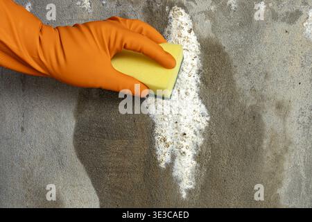 An orange rubber gloved hand actively scrubs white foamy mold and mildew stains from a rough gray concrete wall surface using a yellow cleaning sponge Stock Photo