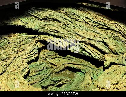 Textured green sculptural relief on display inside Casa Milà, La Pedrera, Antoni Gaudí's UNESCO World Heritage modernist landmark in Barcelona, Spain. Stock Photo