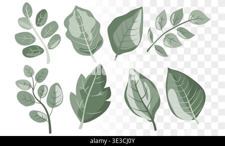 Modern Botanical Leaf Vector Set Minimalist Sage Green Foliage Icons for Eco-Friendly Branding, Organic Skincare Packaging and Wellness Web Design Stock Vector